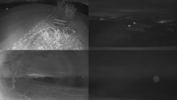 Sdružený snímek Bludný