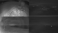 Sdružený snímek Bludný