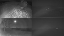 Sdružený snímek Bludný