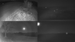 Sdružený snímek Bludný