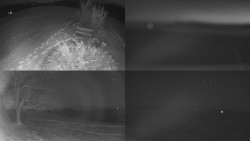 Sdružený snímek Bludný