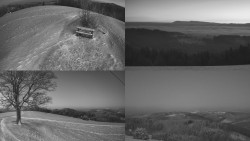 Sdružený snímek Bludný