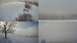 Sdružený snímek Bludný