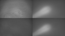 Sdružený snímek Bludný