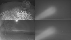 Sdružený snímek Bludný