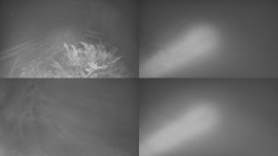 Sdružený snímek Bludný