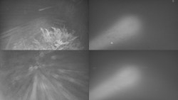 Sdružený snímek Bludný