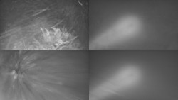 Sdružený snímek Bludný