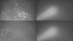 Sdružený snímek Bludný