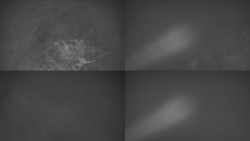 Sdružený snímek Bludný