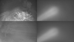 Sdružený snímek Bludný