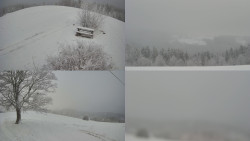 Sdružený snímek Bludný