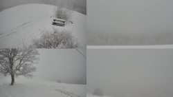 Sdružený snímek Bludný