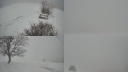 Sdružený snímek Bludný