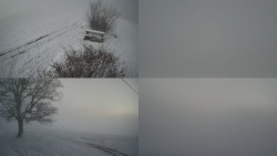 Sdružený snímek Bludný