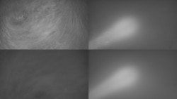 Sdružený snímek Bludný