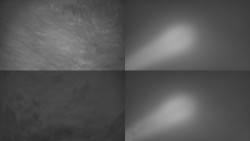 Sdružený snímek Bludný