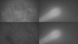 Sdružený snímek Bludný