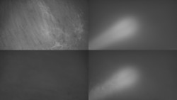 Sdružený snímek Bludný