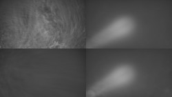 Sdružený snímek Bludný