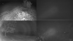 Sdružený snímek Bludný