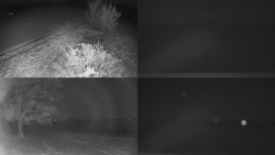 Sdružený snímek Bludný