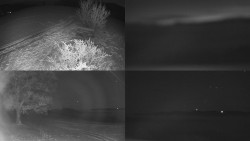 Sdružený snímek Bludný