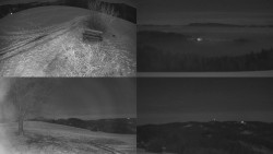 Sdružený snímek Bludný