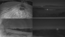 Sdružený snímek Bludný