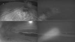 Sdružený snímek Bludný