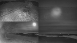 Sdružený snímek Bludný