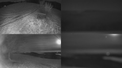 Sdružený snímek Bludný