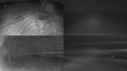 Sdružený snímek Bludný