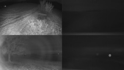 Sdružený snímek Bludný