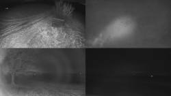 Sdružený snímek Bludný