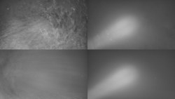 Sdružený snímek Bludný