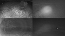 Sdružený snímek Bludný