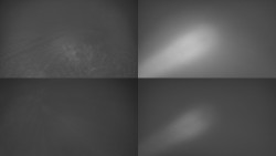 Sdružený snímek Bludný