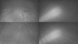 Sdružený snímek Bludný