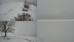 Sdružený snímek Bludný