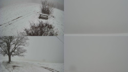 Sdružený snímek Bludný