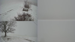 Sdružený snímek Bludný