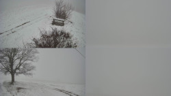 Sdružený snímek Bludný