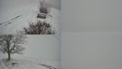 Sdružený snímek Bludný