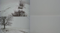 Sdružený snímek Bludný