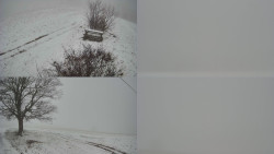 Sdružený snímek Bludný