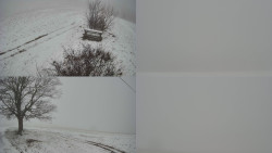 Sdružený snímek Bludný