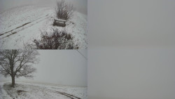 Sdružený snímek Bludný