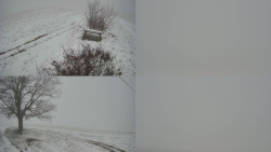 Sdružený snímek Bludný