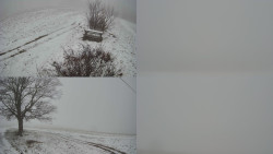 Sdružený snímek Bludný